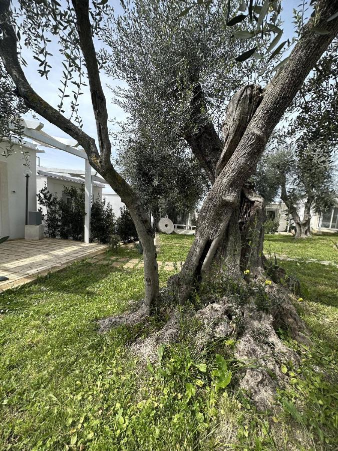 Campeggio Frontemare Village & Ristorante