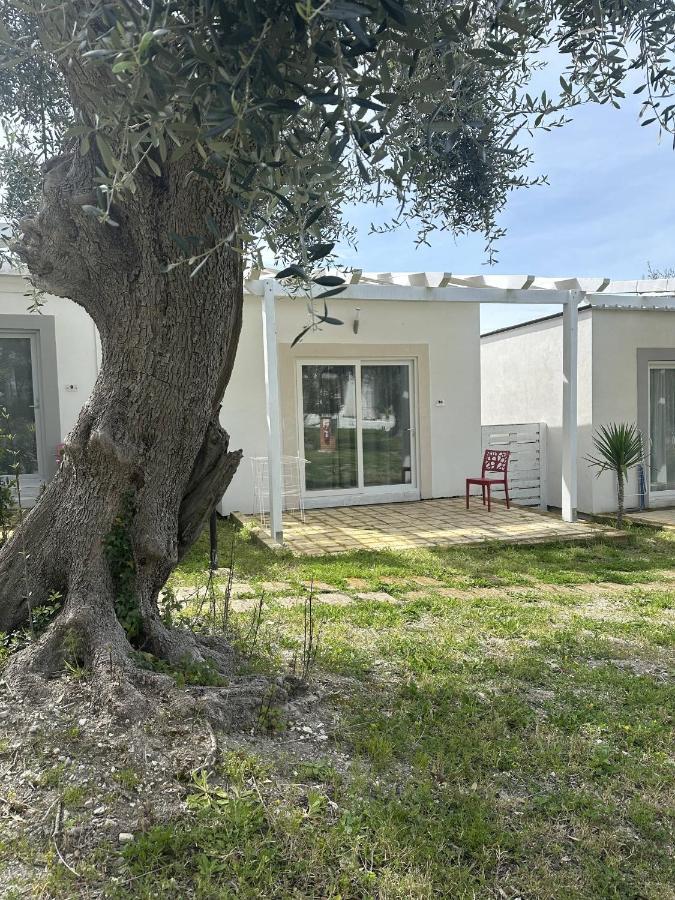 Campeggio Frontemare Village & Ristorante 3*