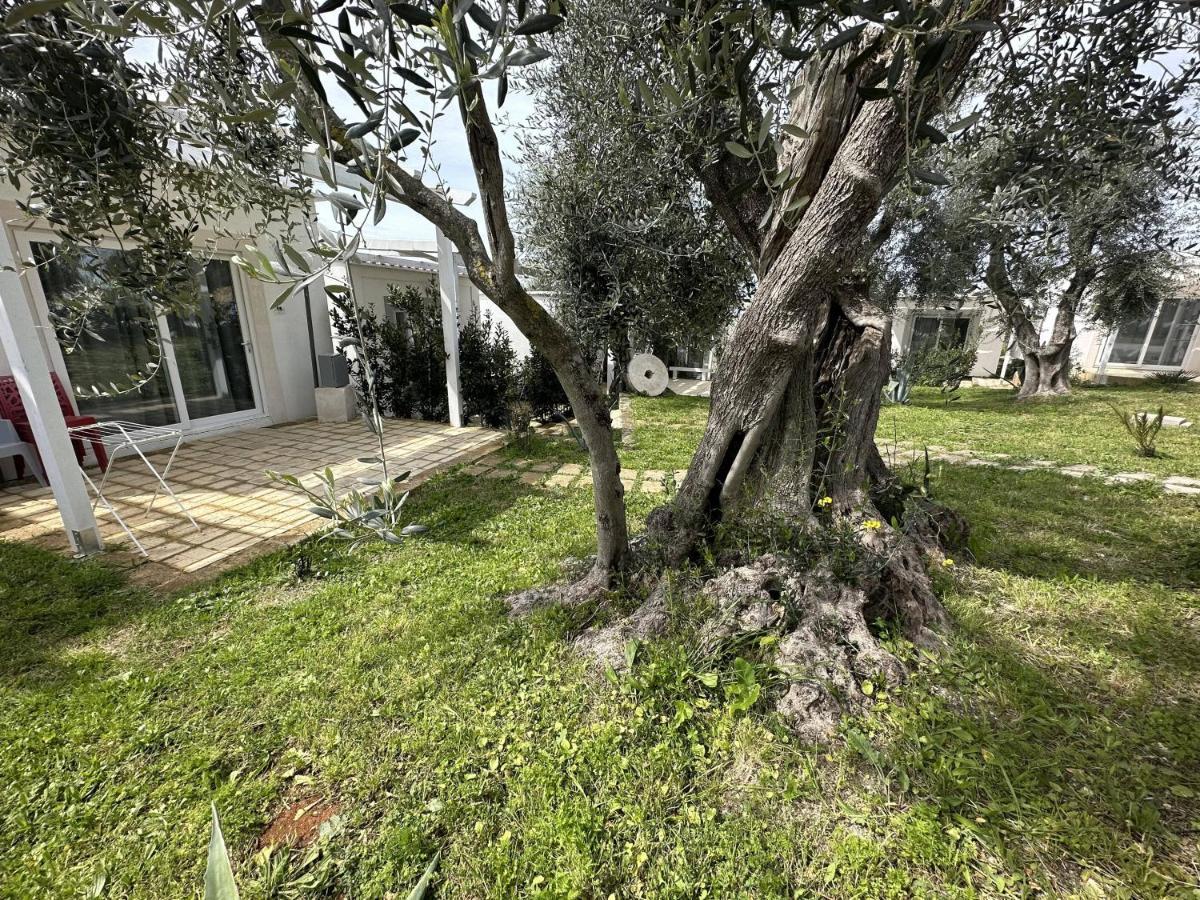 Frontemare Village & Ristorante Campeggio 3*